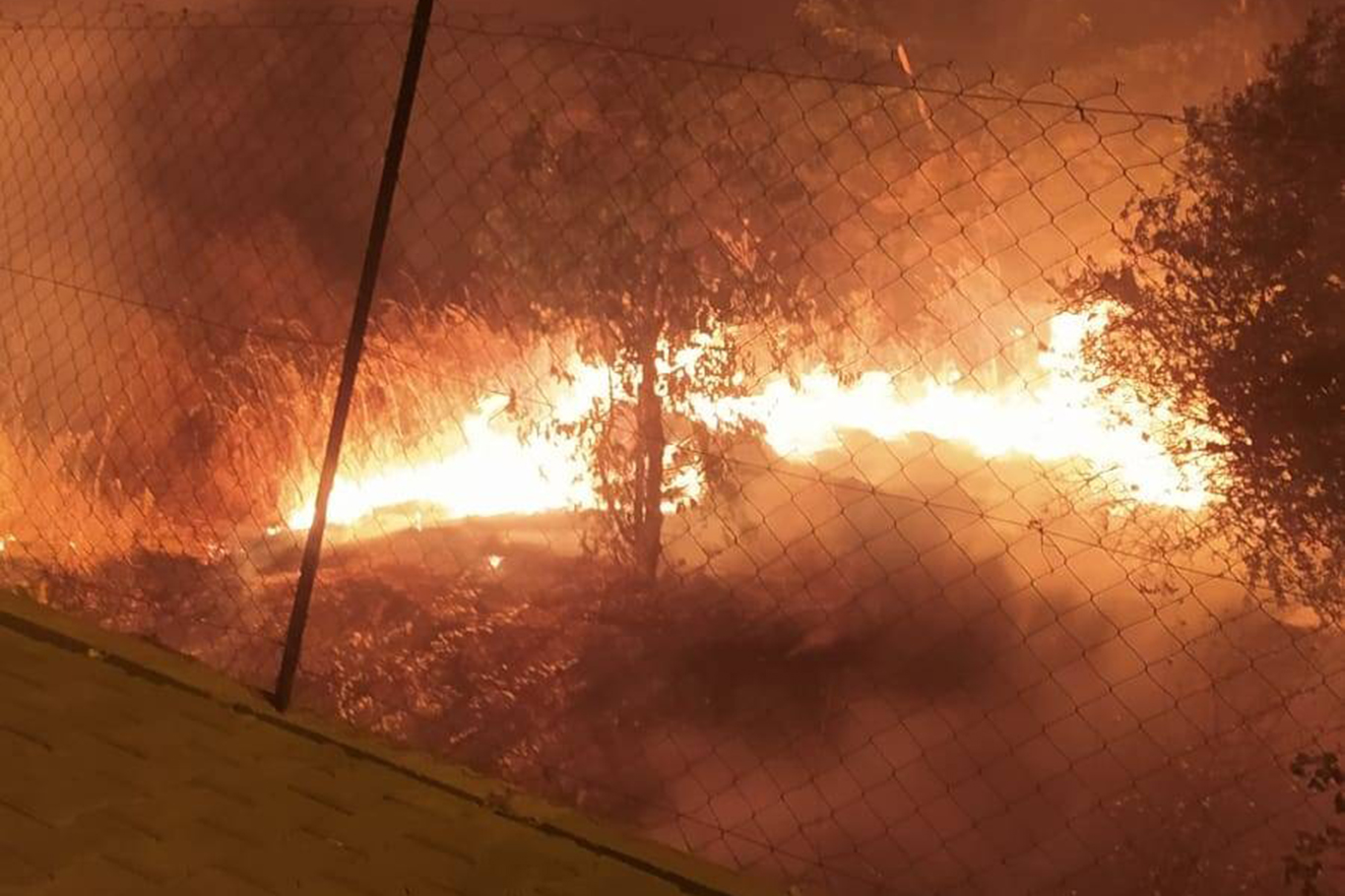 Yerleşim yeri yakınında yangın