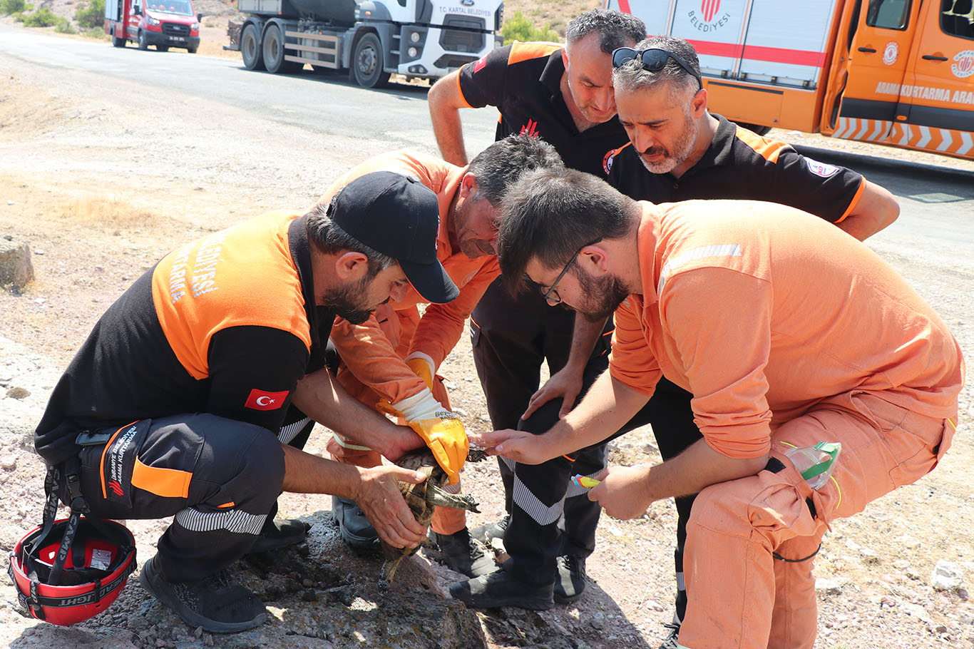 Yangın alanında bulunan kaplumbağa görevlilerce kurtarıldı