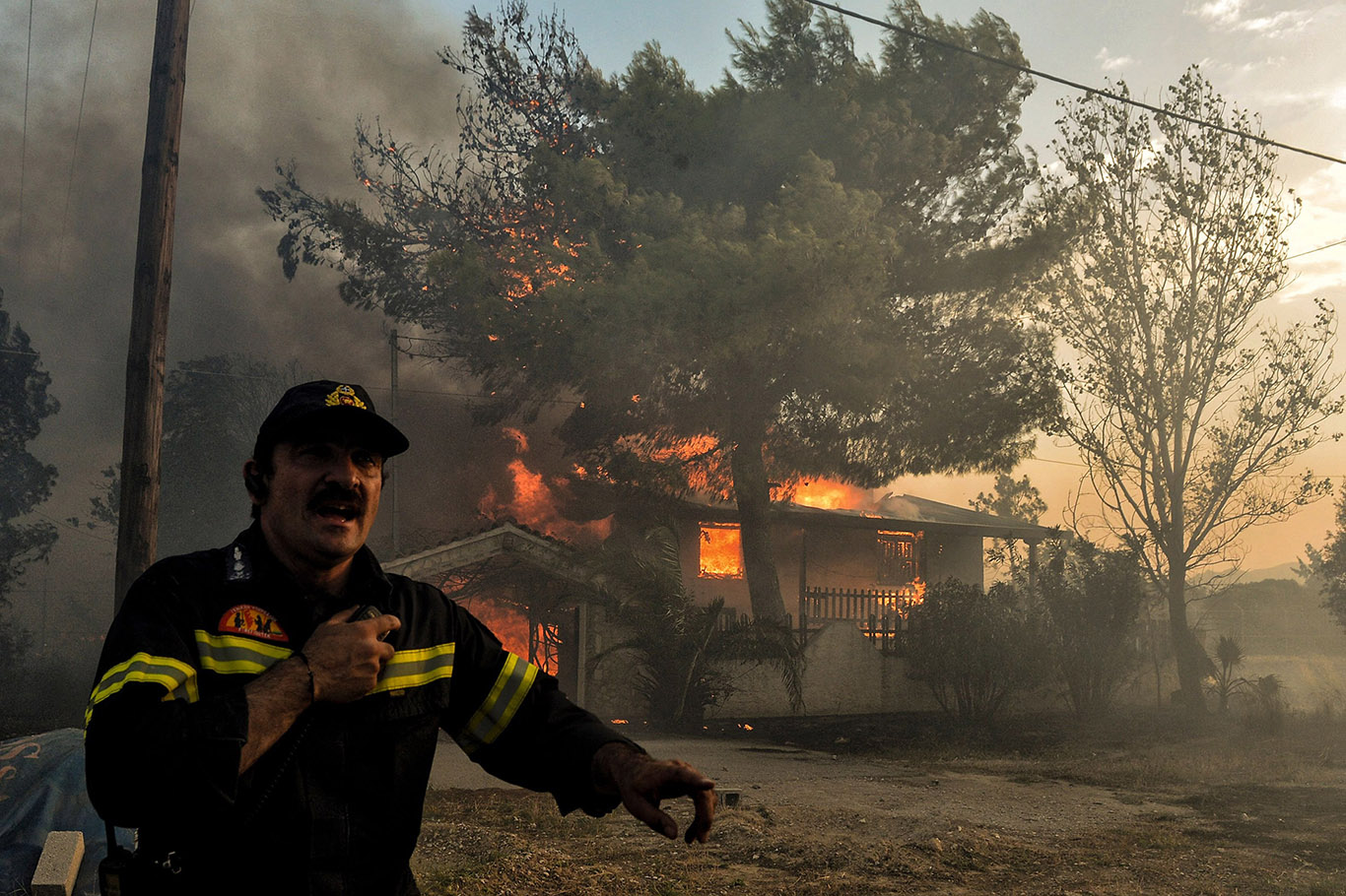 Yunanistan'da orman yangınları: 826 bin hektardan fazla alan kül oldu