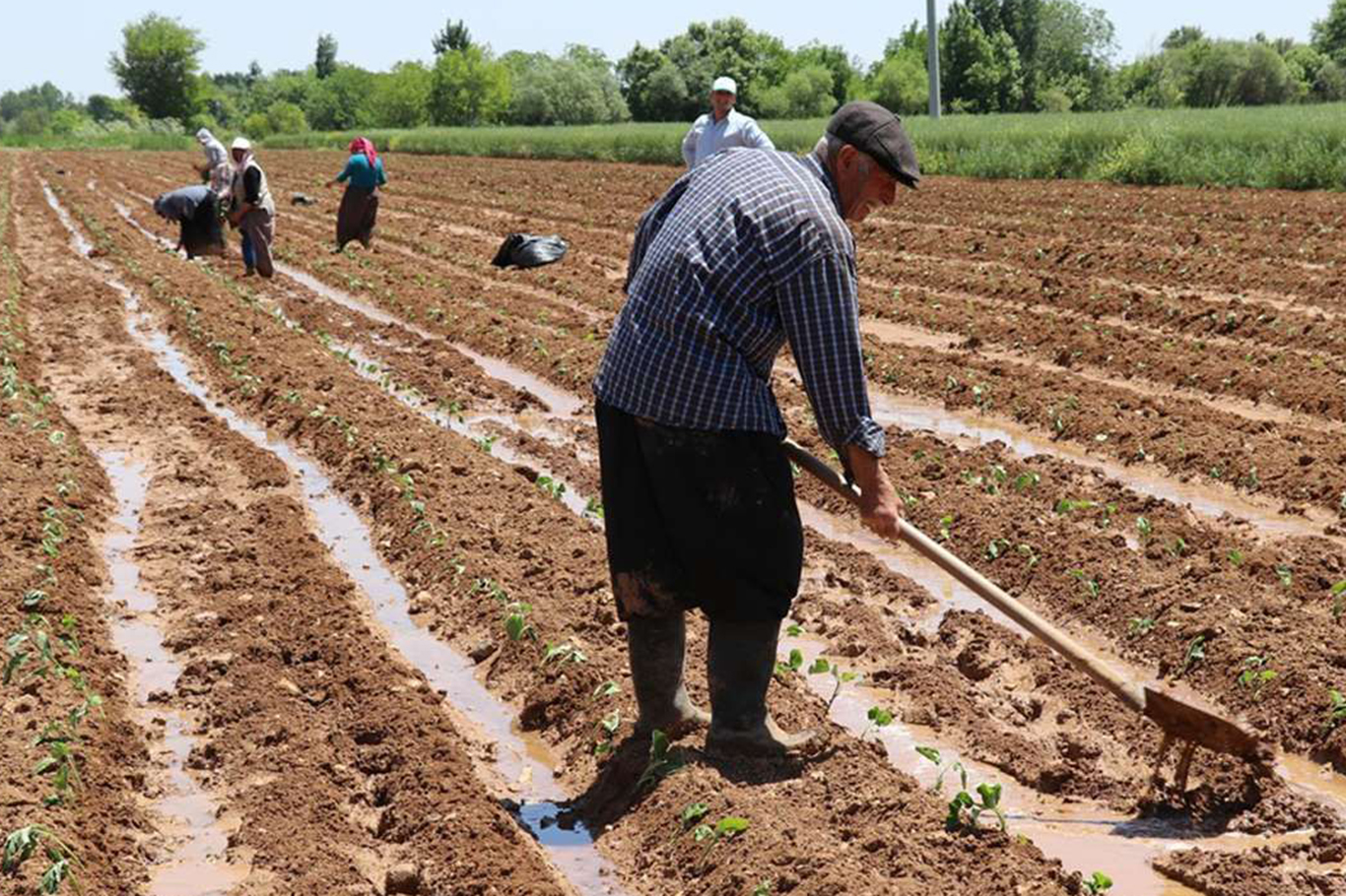 ÇKS başvuruları "TARIMCEBİMDE" mobil uygulamasından yapılabiliyor