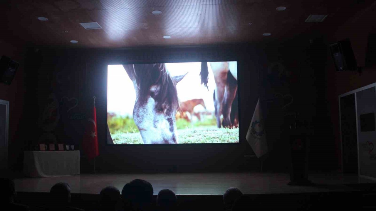 Uluslararası Göbeklitepe Kısa Film Festivali’ne 79 ülkeden 953 film katıldı