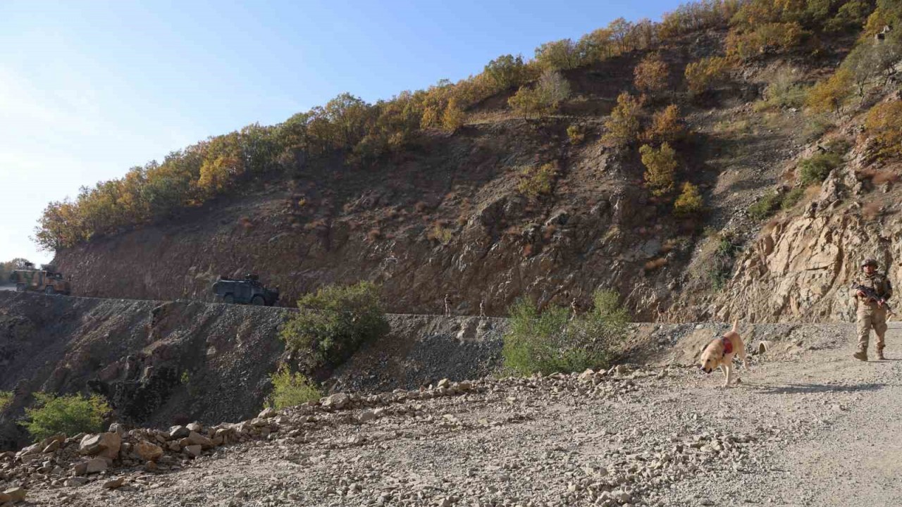 Diyarbakır’da 5 taburdan oluşan timler Lice’de terör operasyonuna çıktı