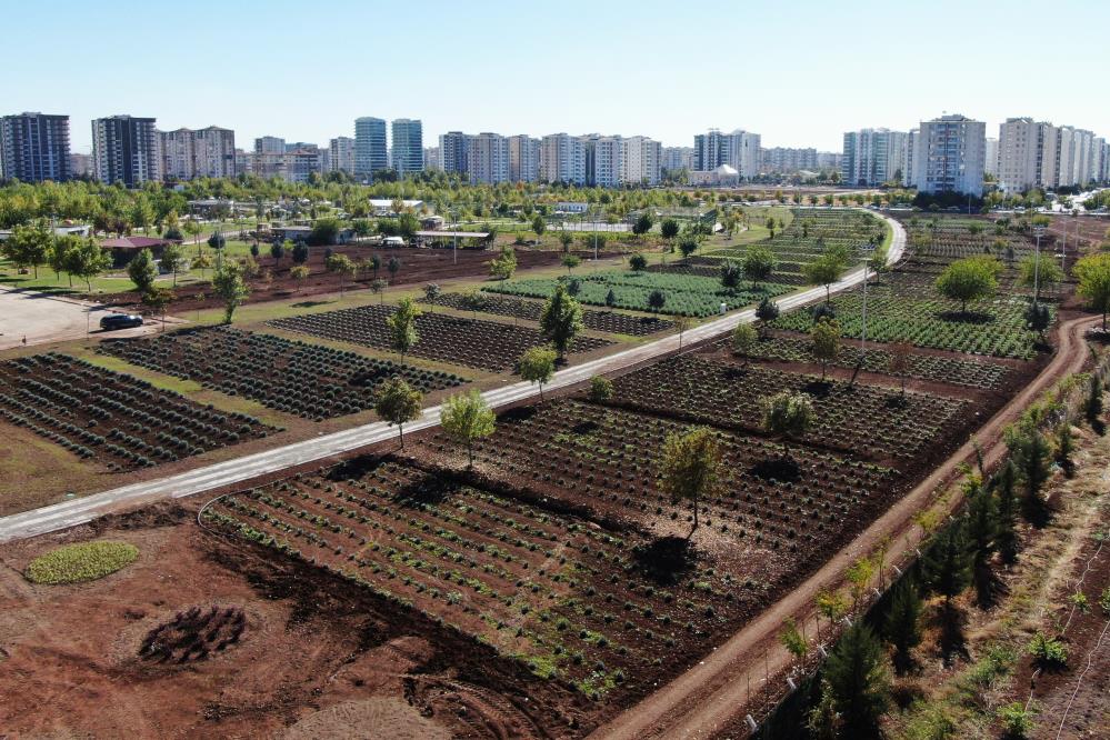 Bitki Bahçesi Diyarbakır'a güzel koku yayacak