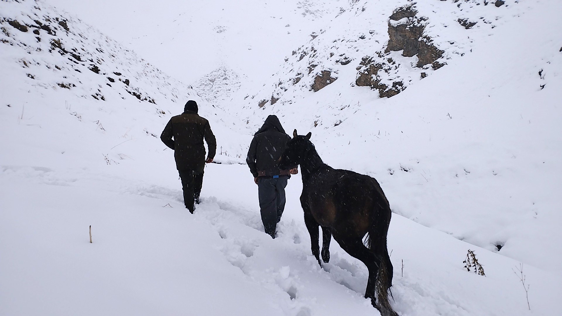 2 bin 900 rakımlı Hakkari dağında tüyler ürperten olay!