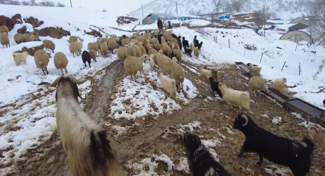 Köylerde kış mesaisi başladı