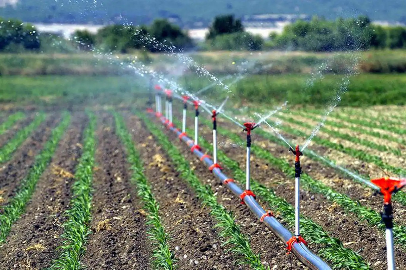 Çiftçilere 406 milyon liralık tarımsal destek