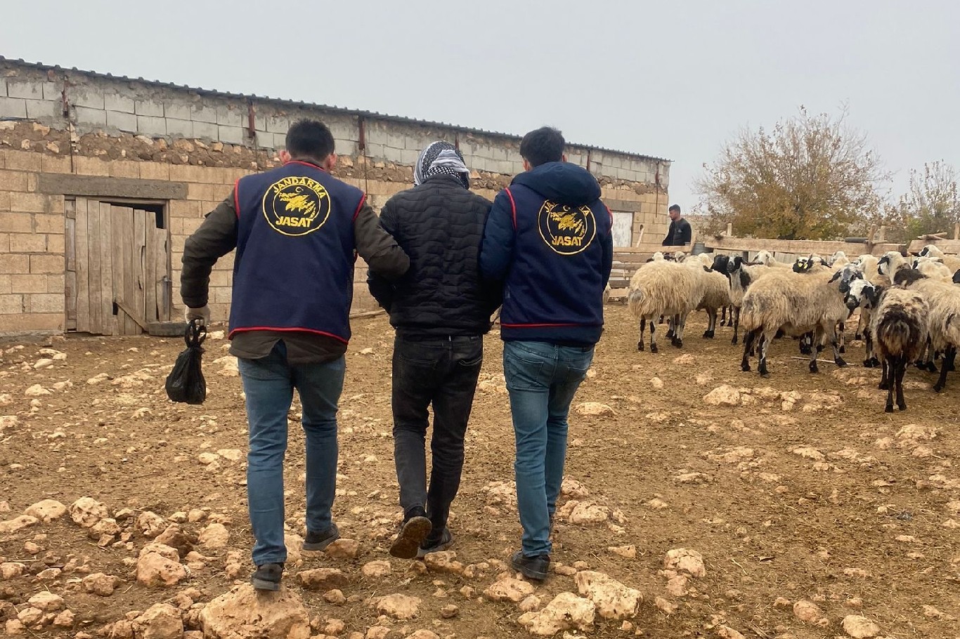 Mardin’de 2 aydır cezaevi firarisi olan 1 kişi yakalandı