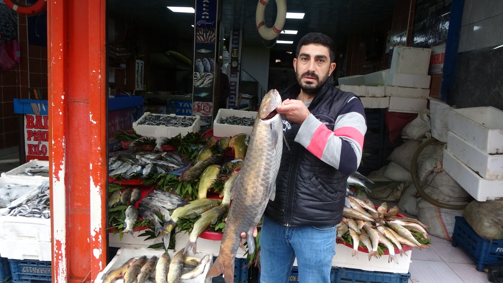 Deniz olmayan Diyarbakır'da balık bolluğu