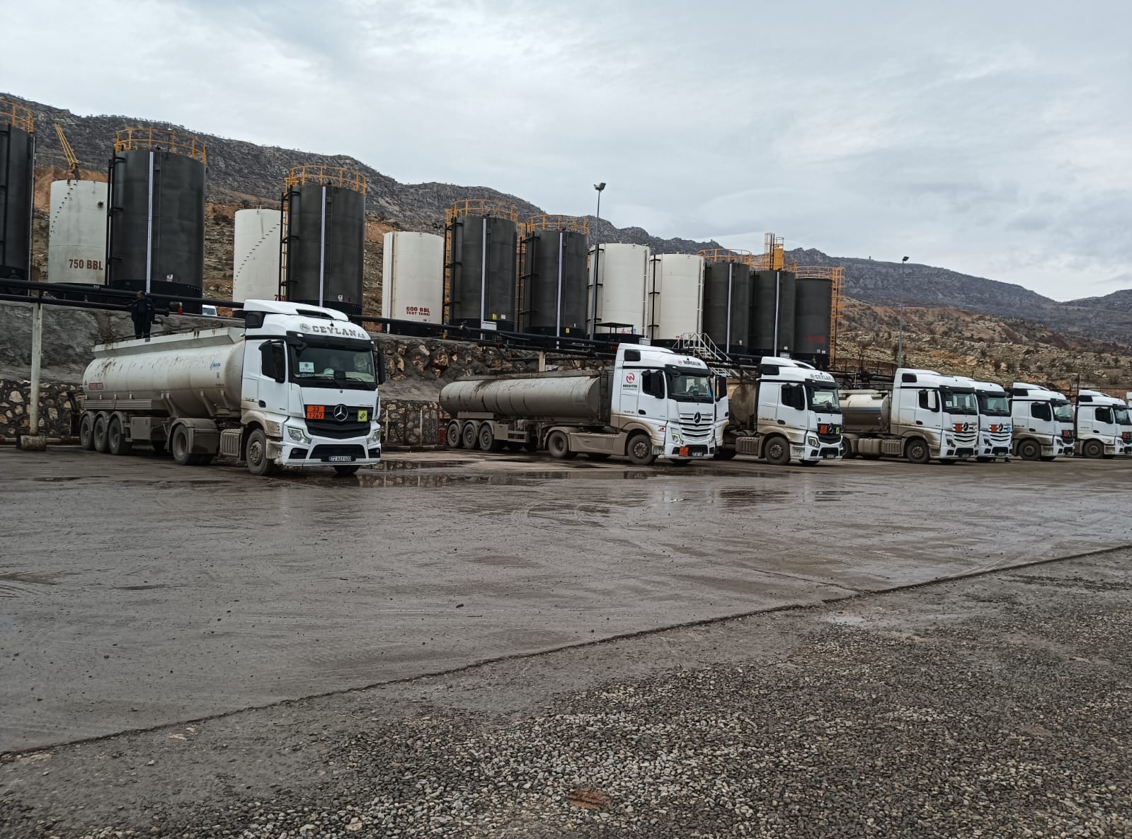 Şırnak, petrol şehri olma yolunda devam ediyor