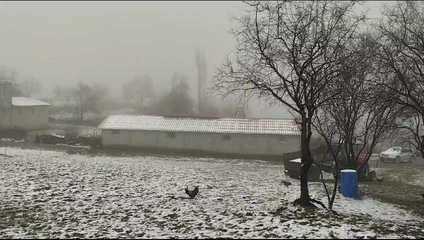 Lice ve çevresinde yoğun kar yağışı