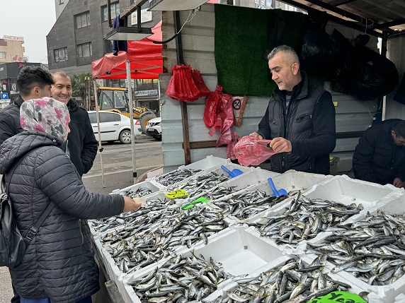 50 liraya düşen istavrite yoğun ilgi