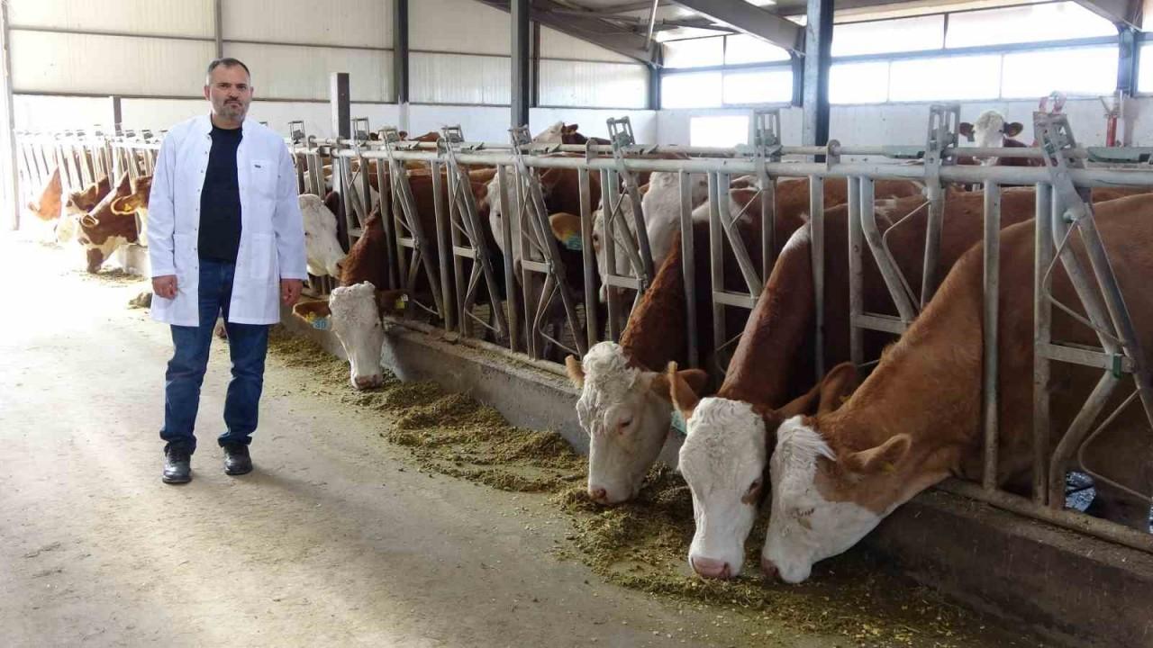 Hayvan çiftliğinin elektrik giderlerini GES ile karşılıyor