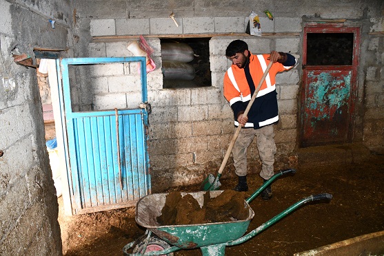 Beytüşşebap'ta Besicilerin Zorlu Kış Mesaisi Devam Ediyor