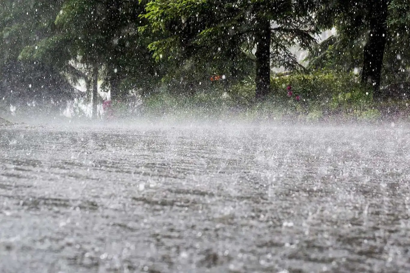 Meteorolojiden 3 bölge için yağış uyarısı