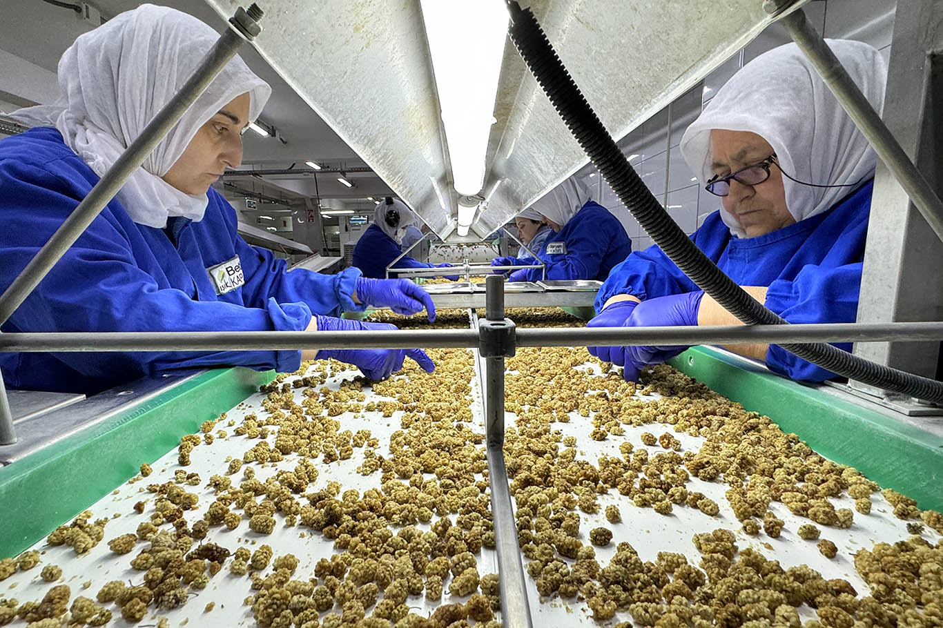 Türkiye organik ürün ihracatında 1 milyar doları aştı