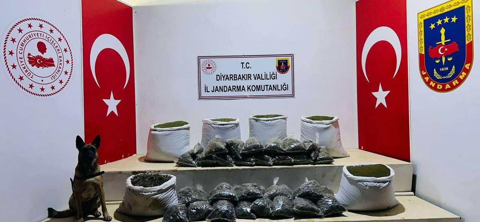 226 Kilogram Esrar Ele Geçirildi