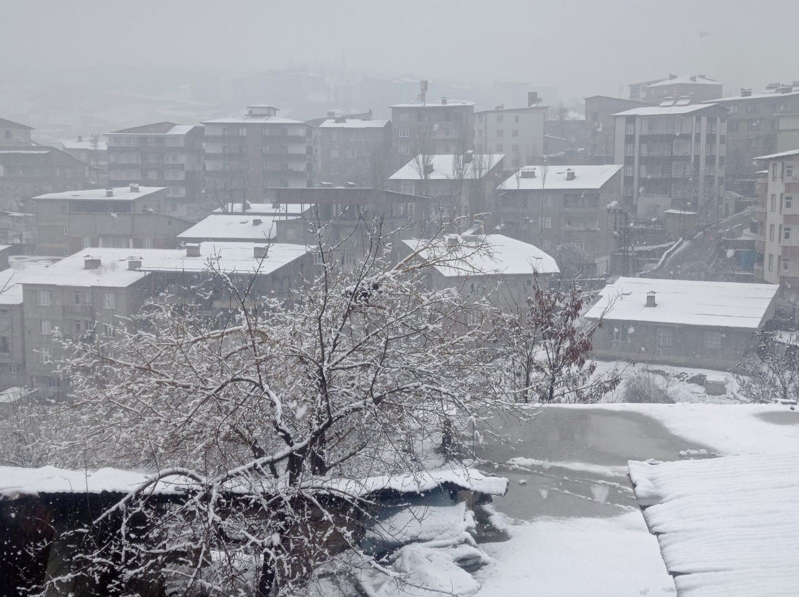 Hakkari'de lapa lapa kar yağışı