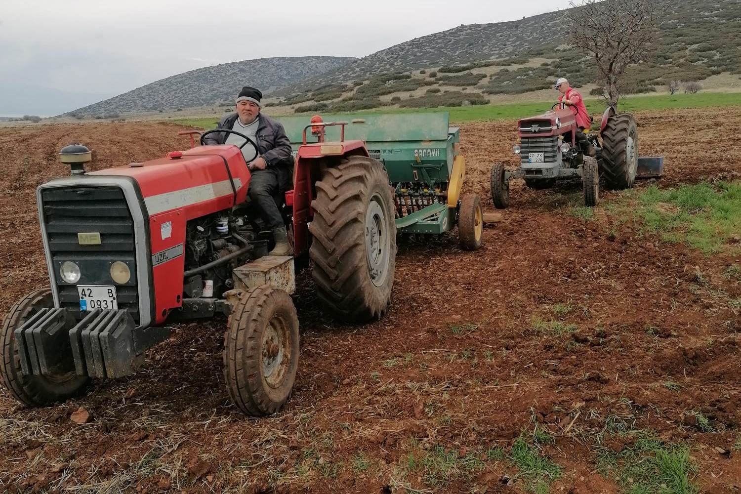 Atıl tarım alanları aspir ekilerek üretime kazandırılıyor