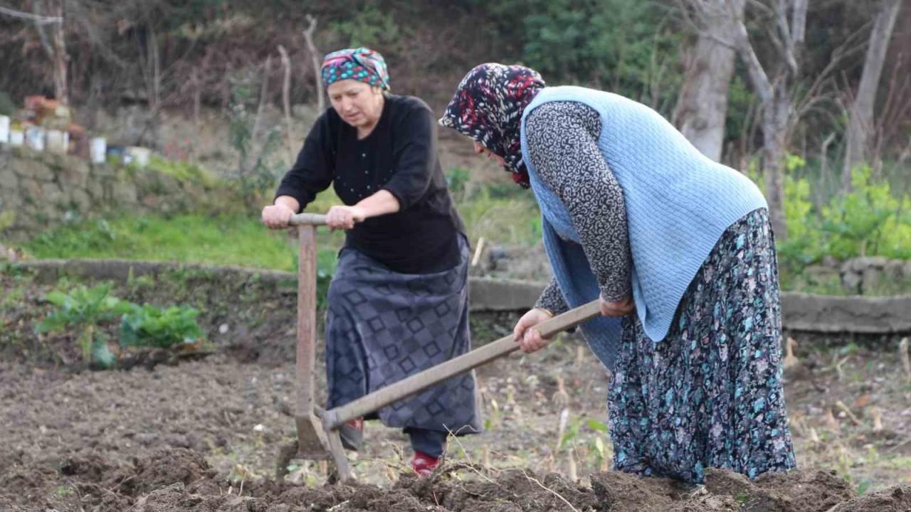 Gençler tarlaya girmiyor