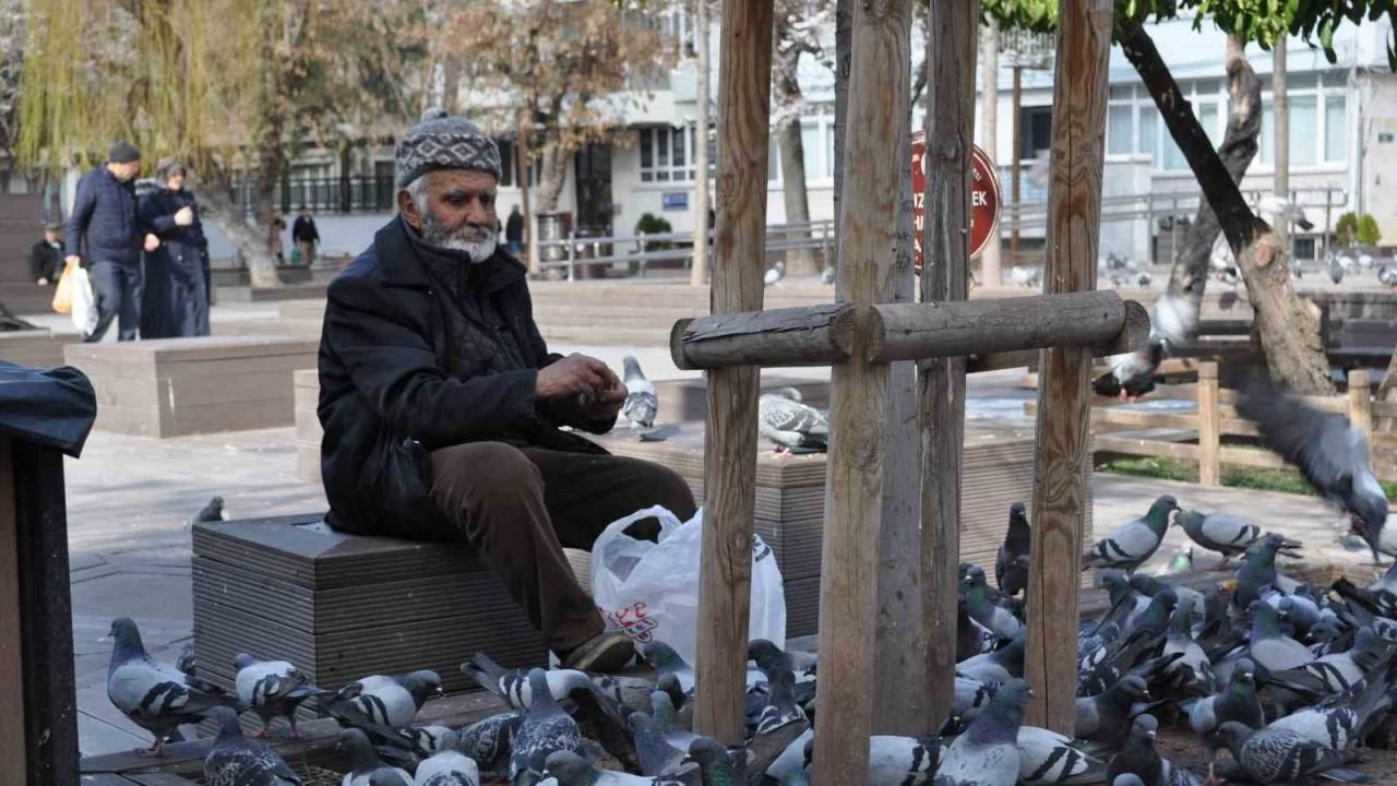 Sokaktaki kuşları yıllardır büyük bir özenle besliyor