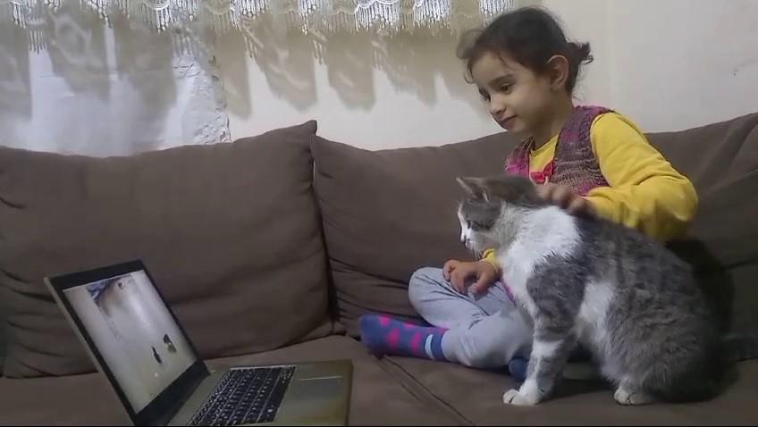 Kedi telefon ve bilgisayar bağımlısı oldu