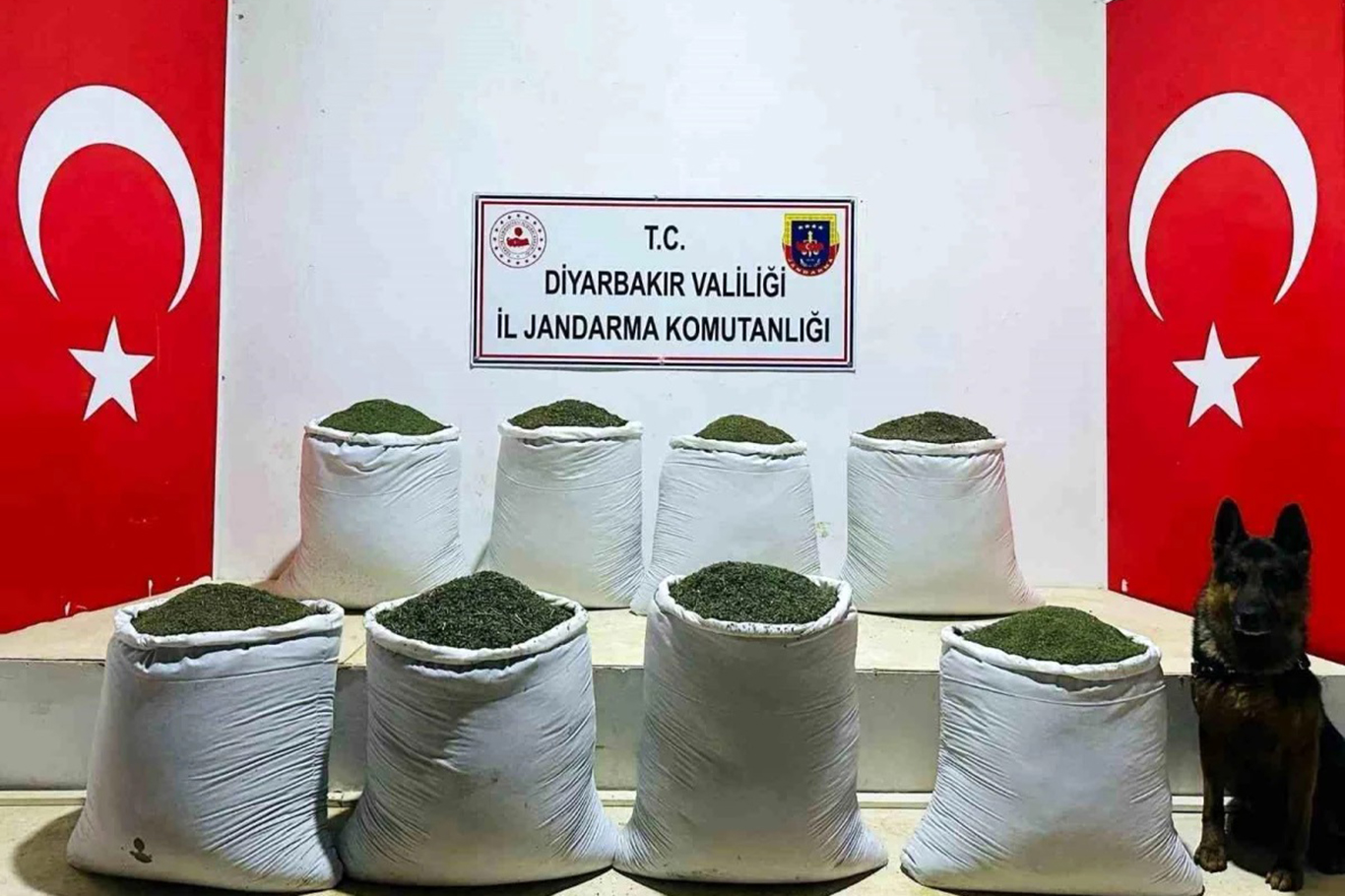 Lice'de 169 kilogram toz esrar ele geçirildi