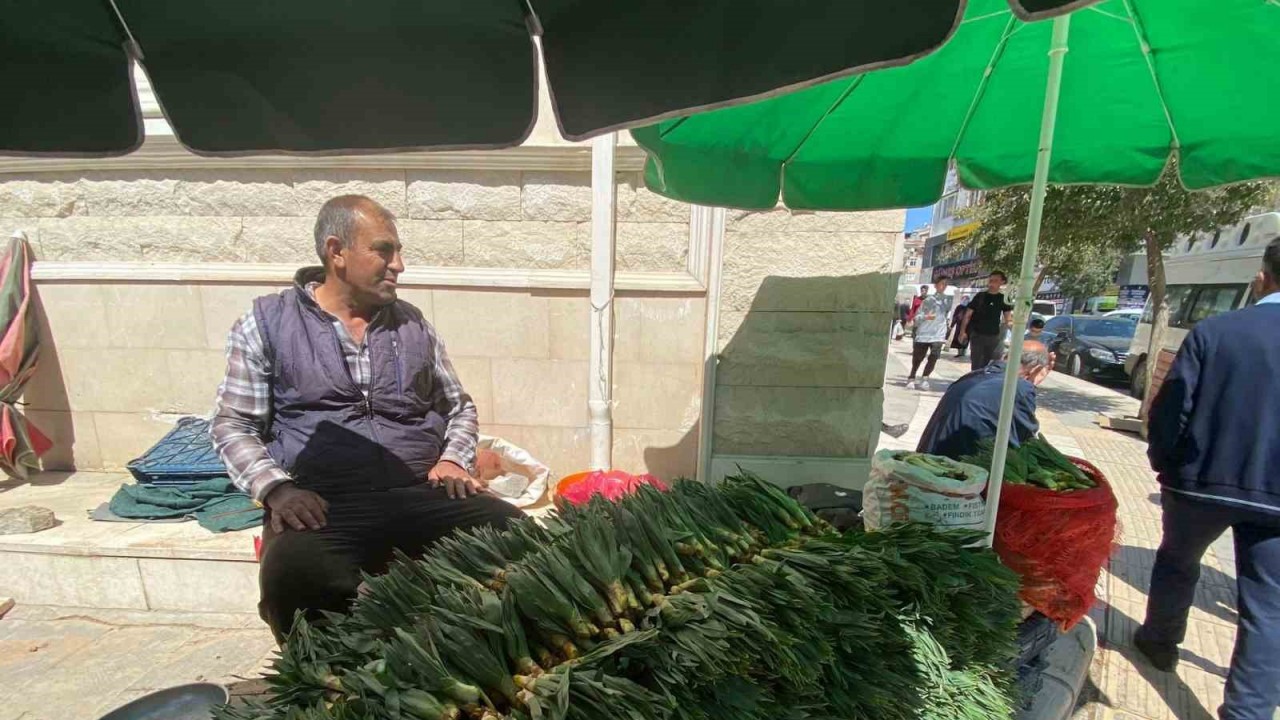 Elazığ’da çiriş otu tezgahlarda yerini aldı