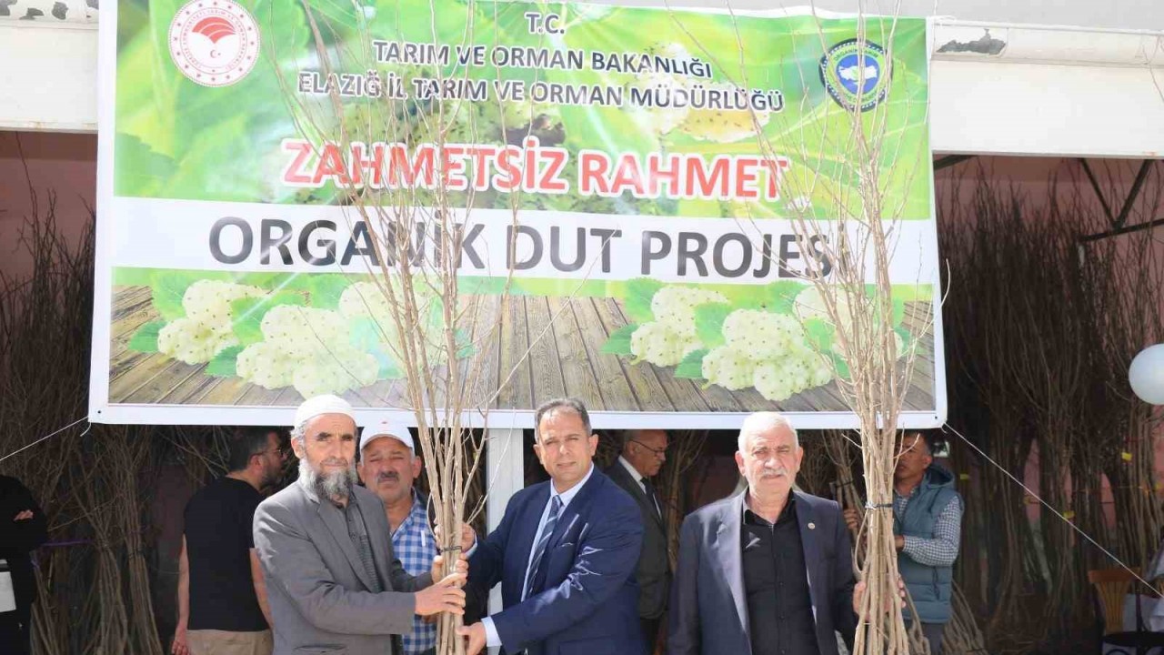 Elazığ’da üreticilere bin 400 adet dut fidanı dağıtıldı