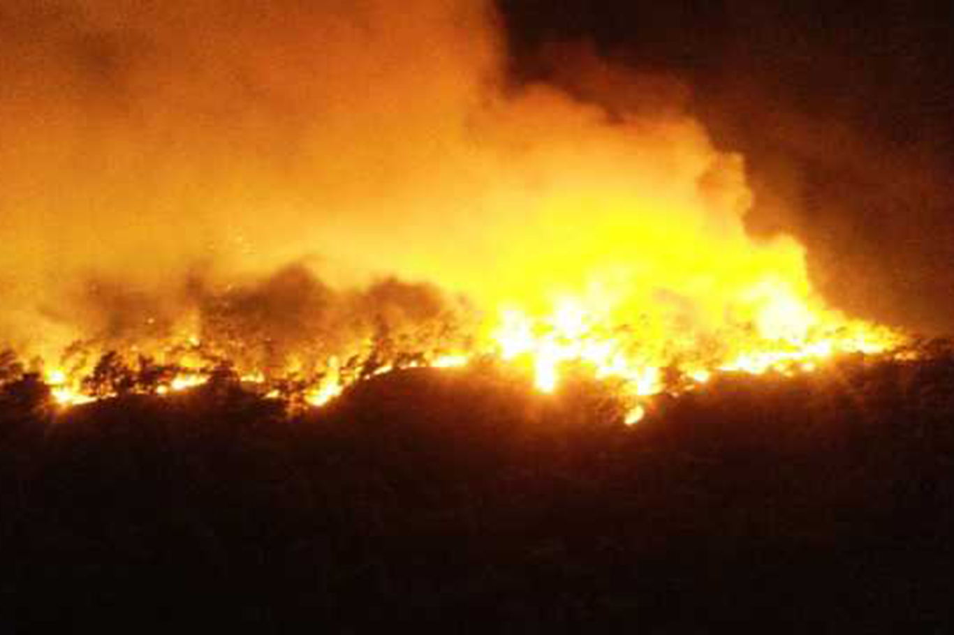 Antalya'da orman yangını