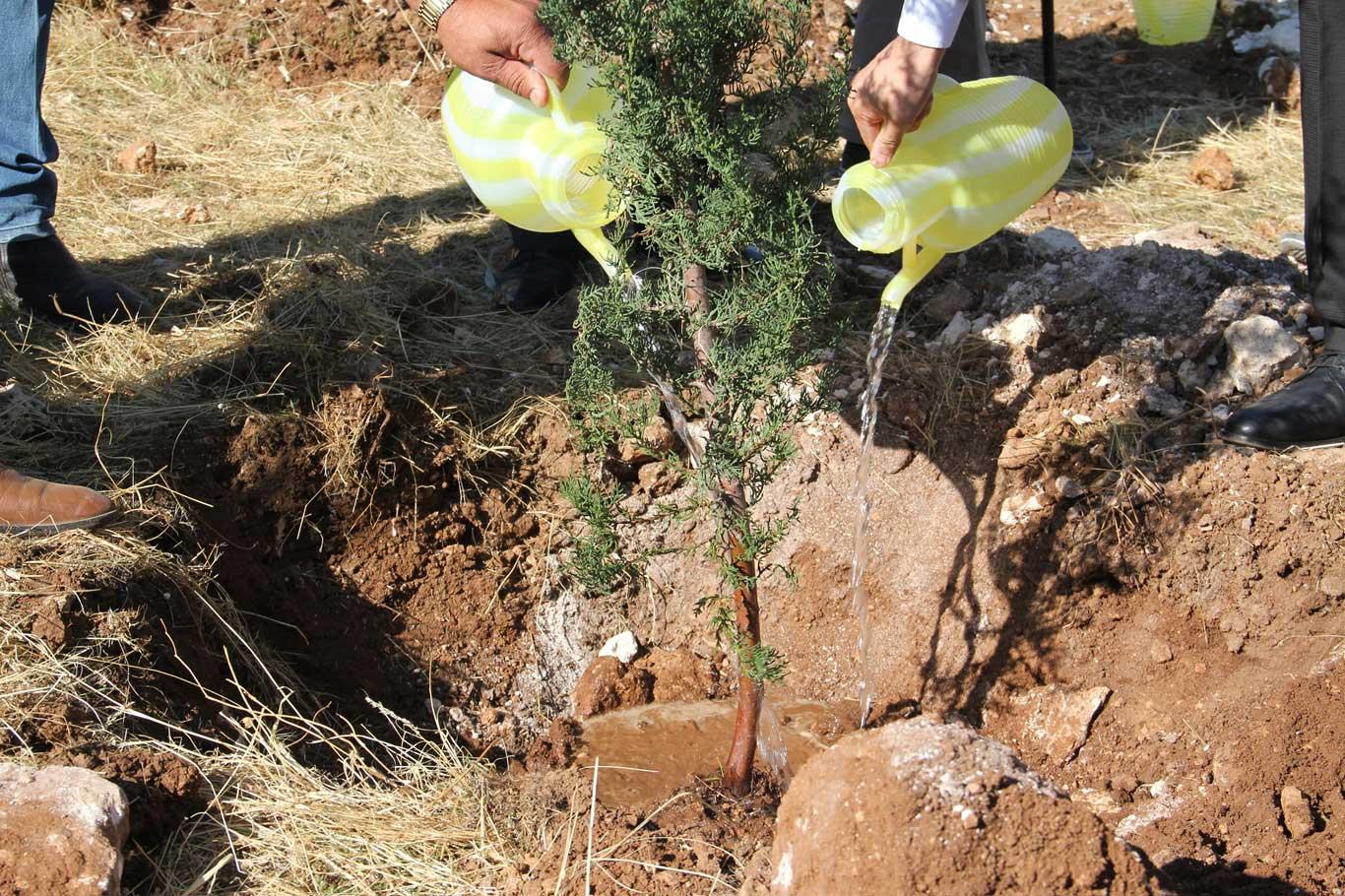 OGM engelli ve eski hükümlü statüsünde 68 daimi işçi alacak