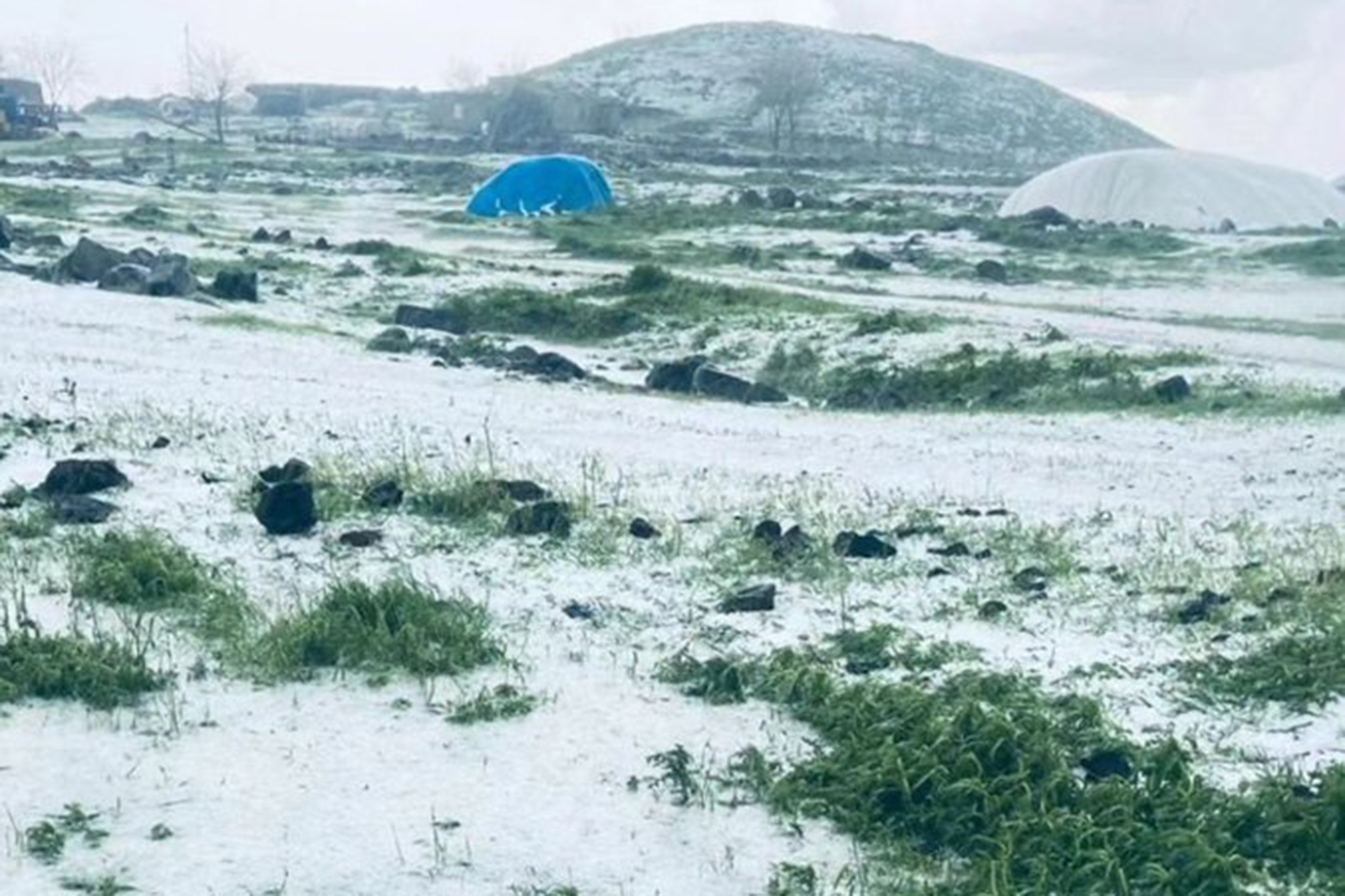 Şanlıurfa'da dolu yağışı etkili oldu