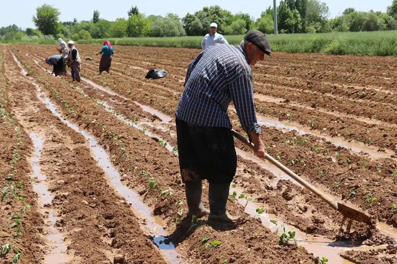 Tarım ÜFE martta aylık ve yıllık bazda arttı