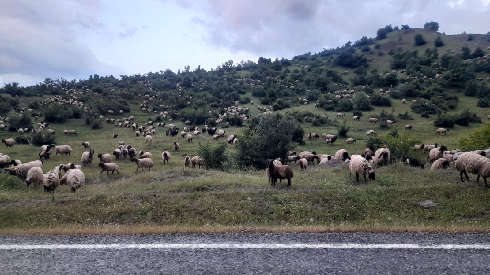 Besiciler Şenyayla'ya Yola Çıktı