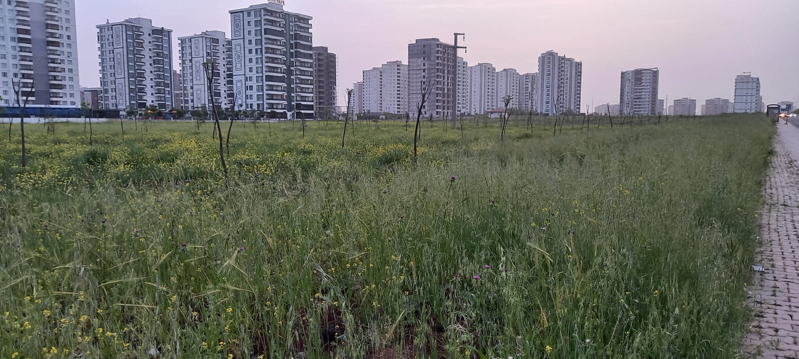 Kayapınar İlçesi'nde Temizlik Çalışmalarını Sürdürdü