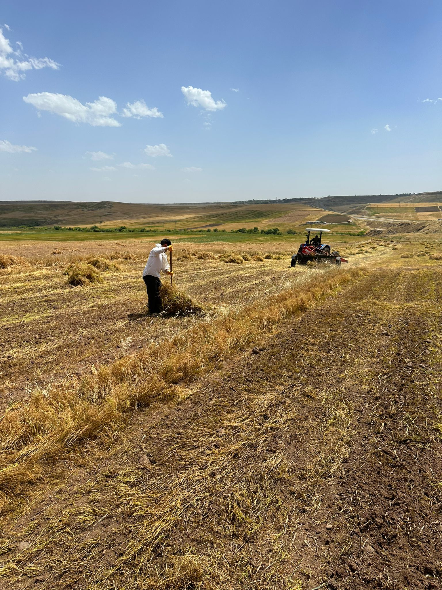 Diyarbakır'da yağışlar çiftçinin yüzünü güldürdü