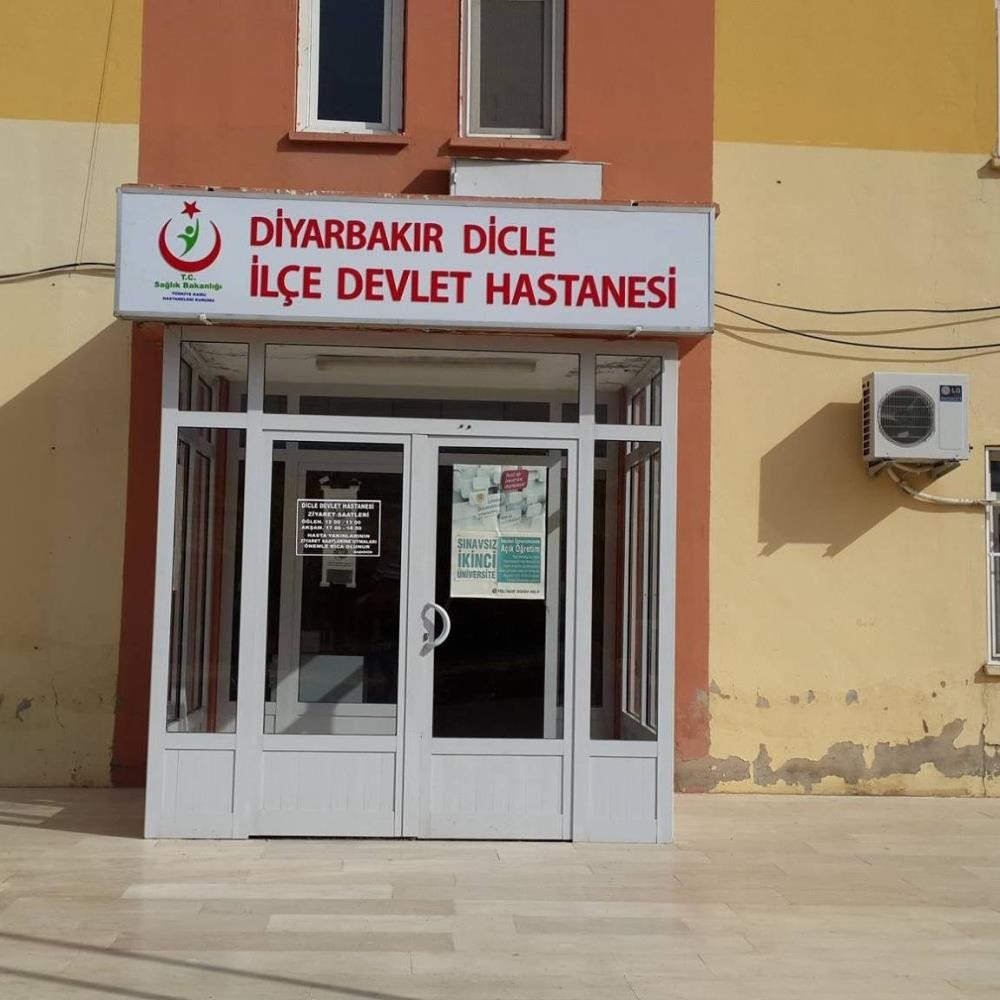 Diyarbakır’da başıboş köpek kadına saldırdı