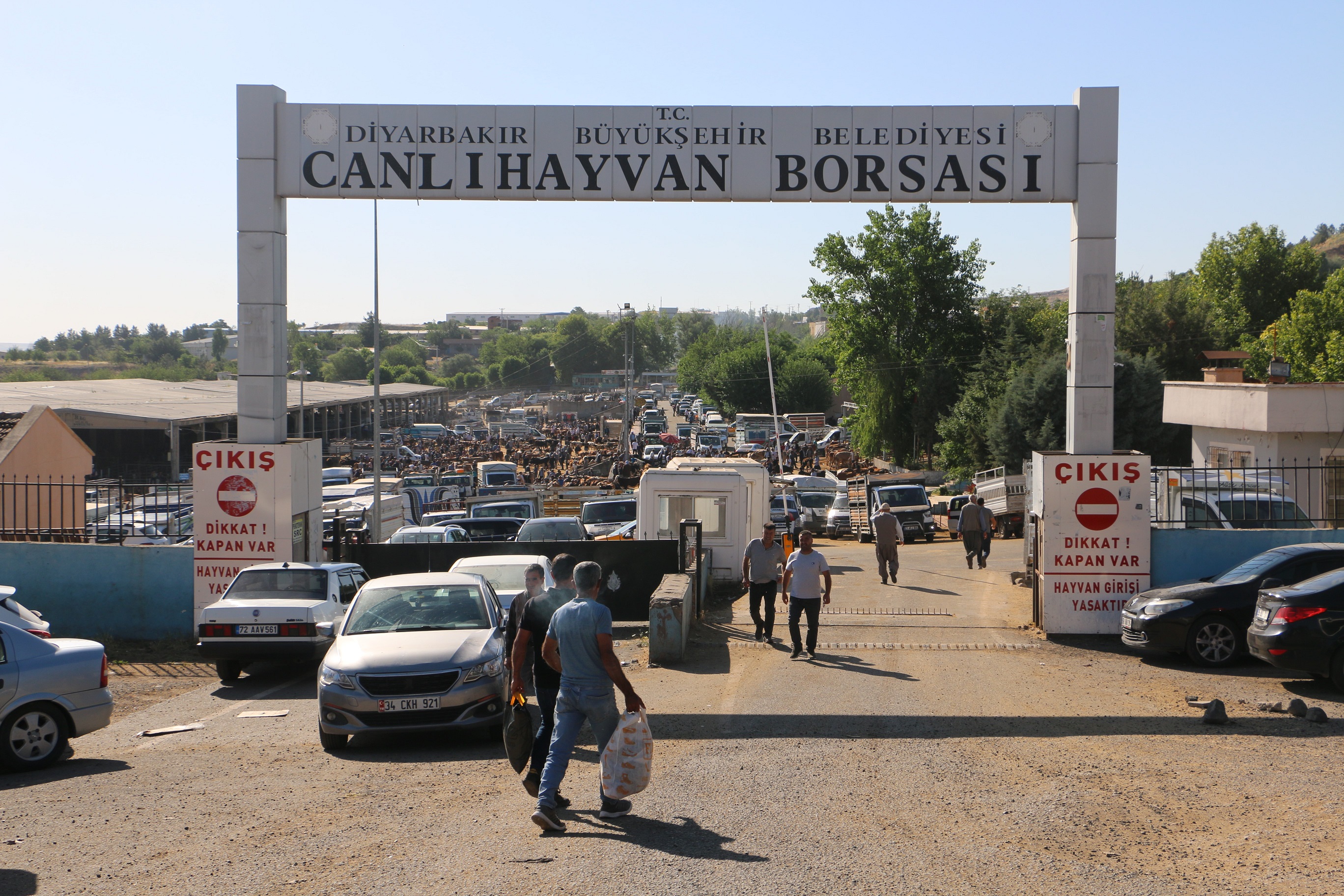 Diyarbakır'da Kurbanlık Hareketliliği Artıyor