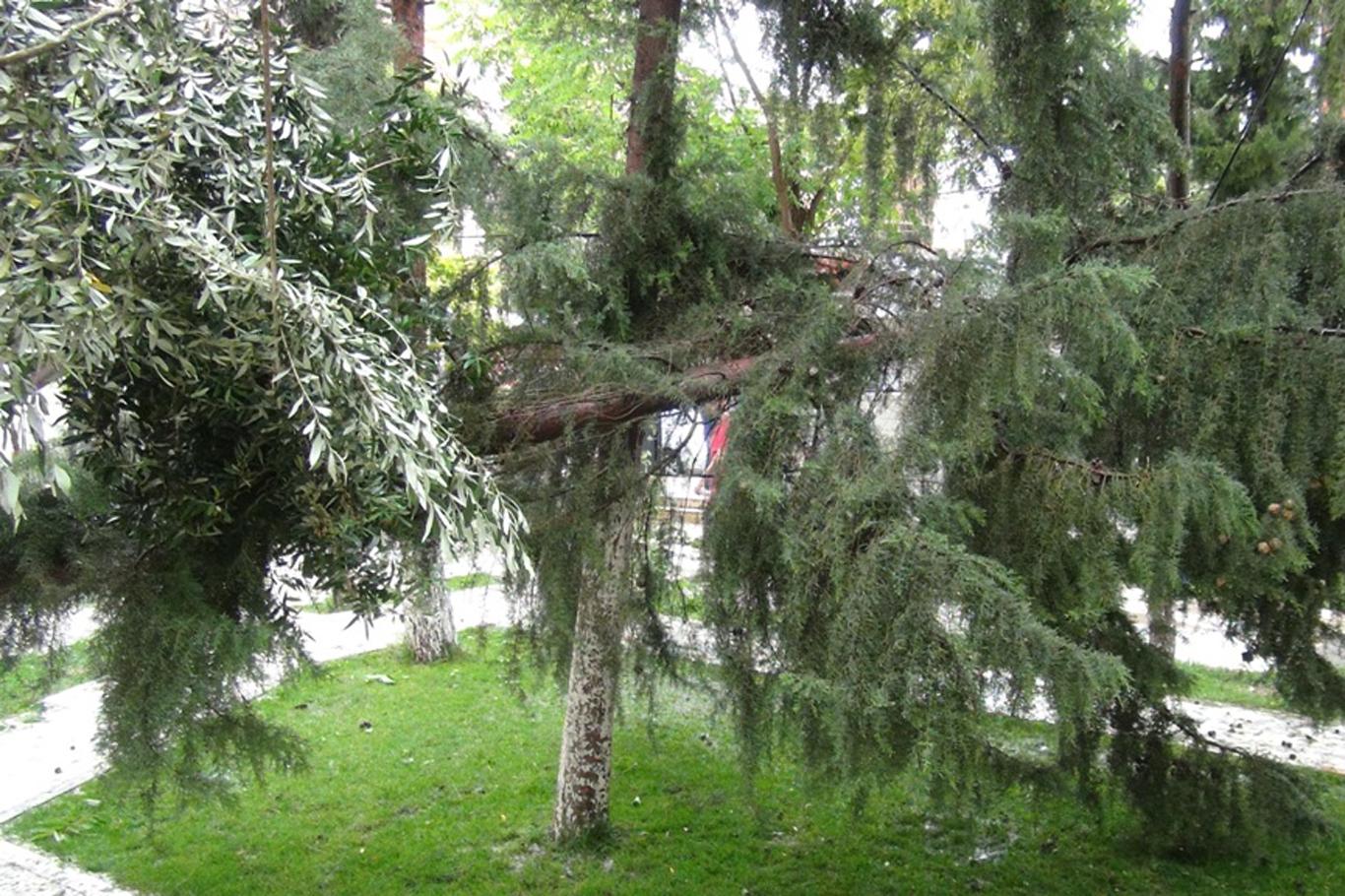 Batı bölgelerde kuvvetli rüzgâr bekleniyor