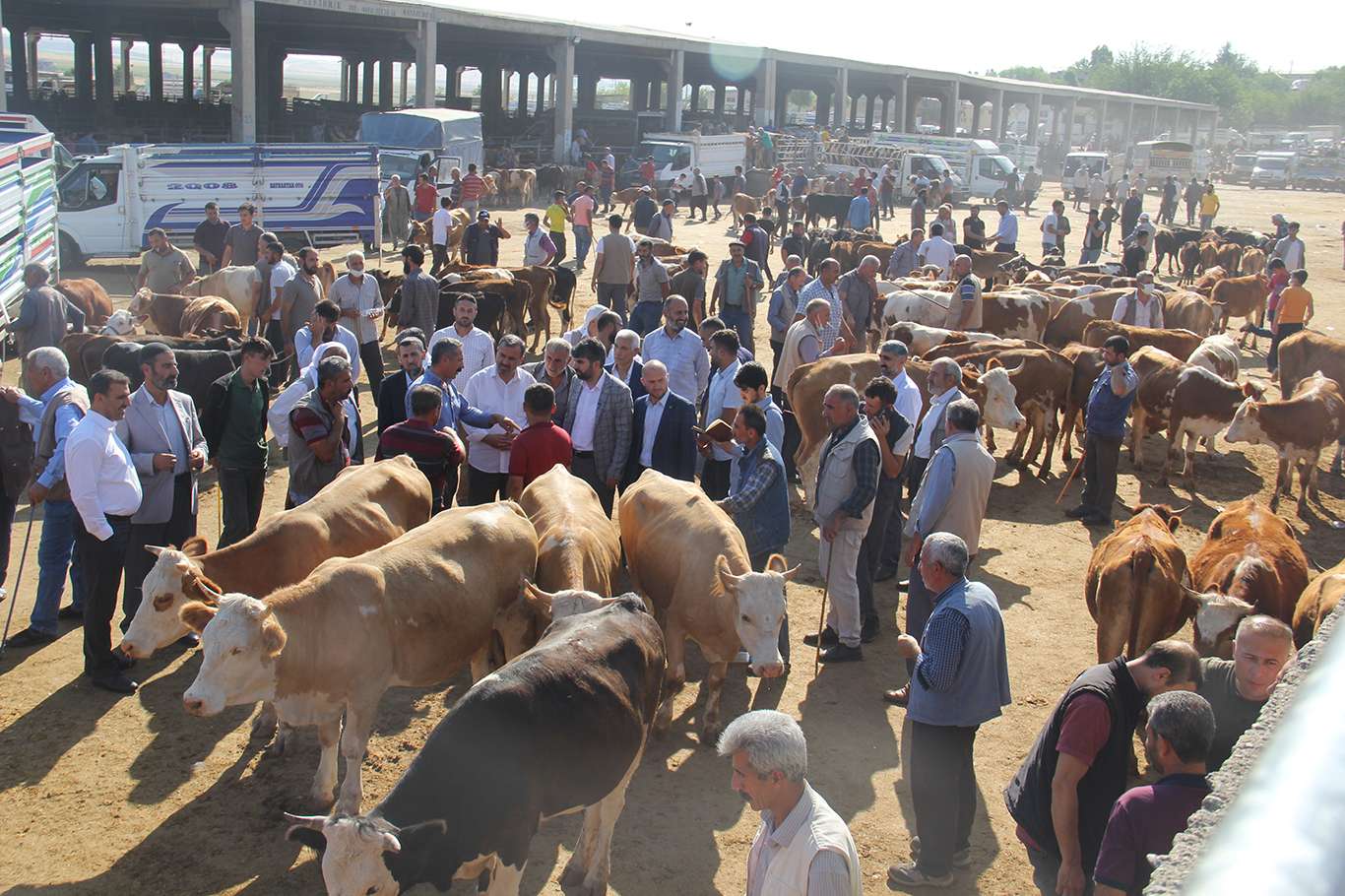 Kurban pazarlarında satılamayan kurbanlıklar ESK tarafından satın alınacak