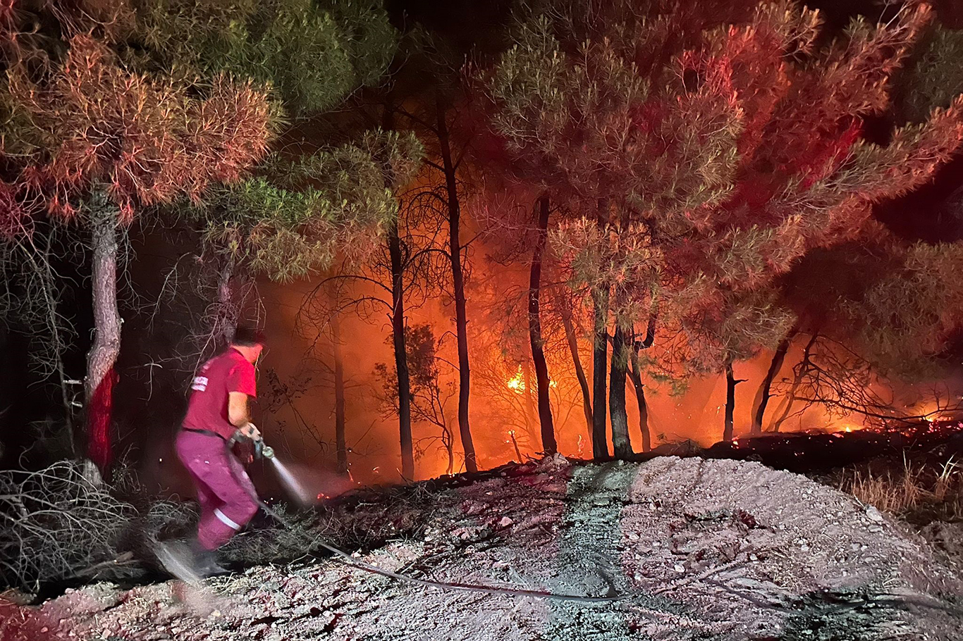 Manisa'da orman yangını: 2 köyde bazı evler tamamen yandı