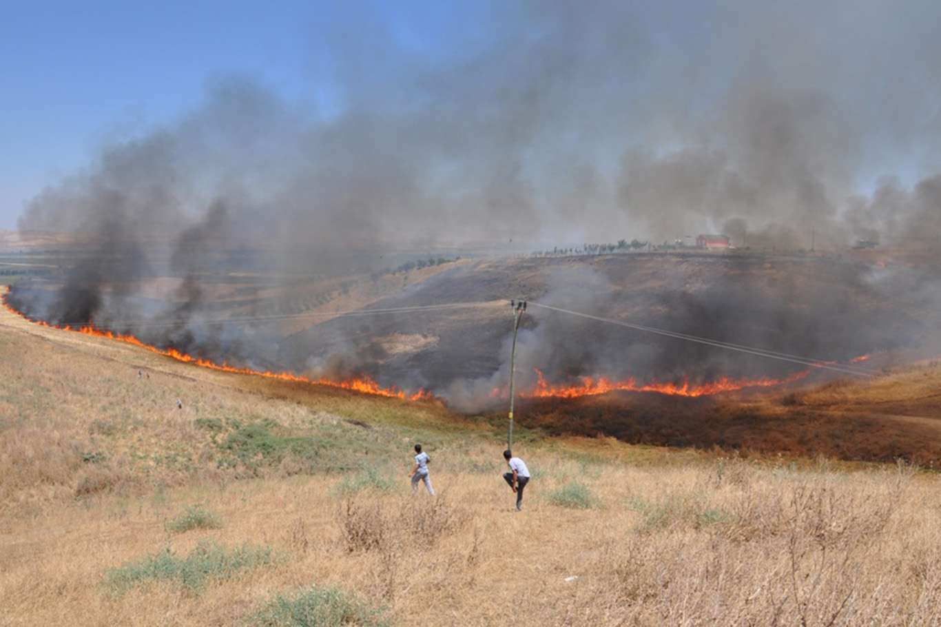 Şanlıurfa'da anız yangınlarına yönelik ceza uygulamaları artırıldı