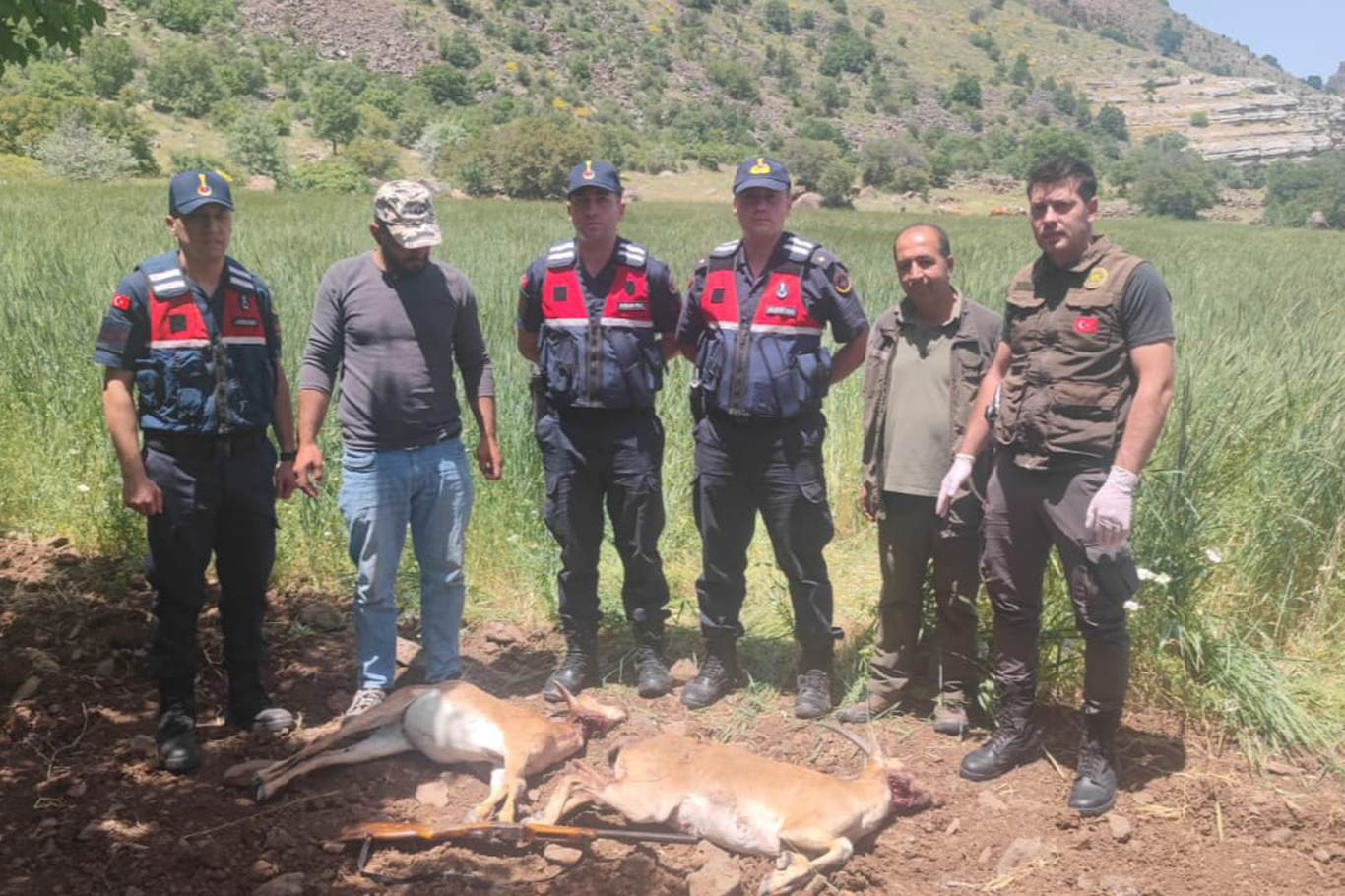 Yabani keçi avlayan şahsa 614 bin TL para cezası verildi