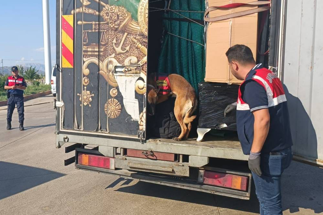 Adıyaman'da "Huzurlu sokaklar" uygulaması kapsamında 12 kişi yakalandı