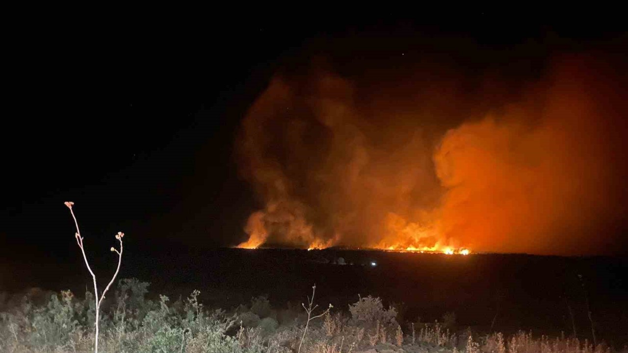 Lice’de gece başlayan orman yangını söndürüldü