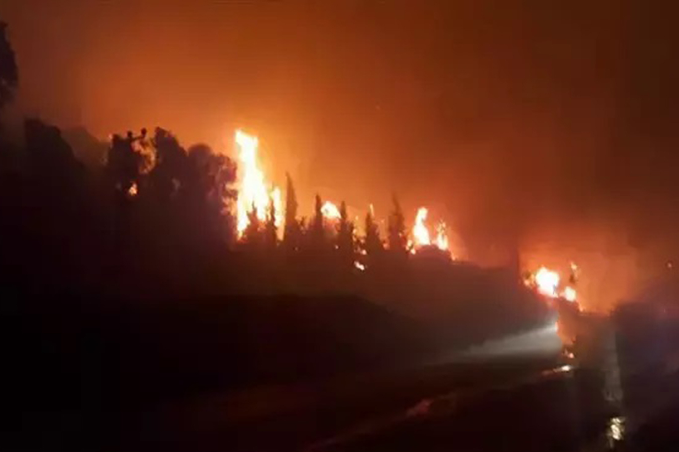 Gaziantep'te orman yangını: 30 dönüm ormanlık alan zarar gördü