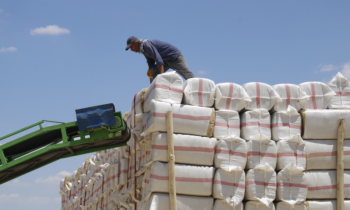 Diyarbakır Çiftçileri Kışa Hazırlık Yapıyor