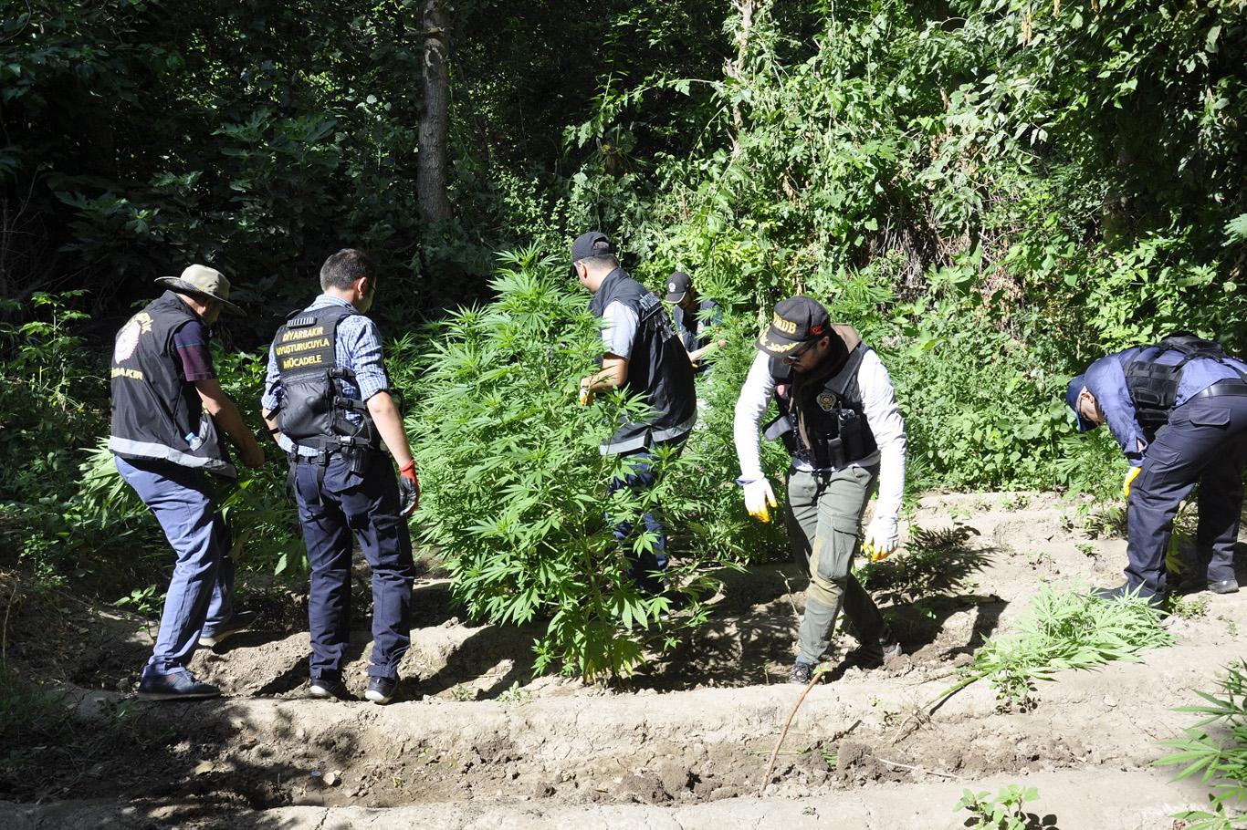 Hevsel Bahçeleri’nde uyuşturucu operasyonu