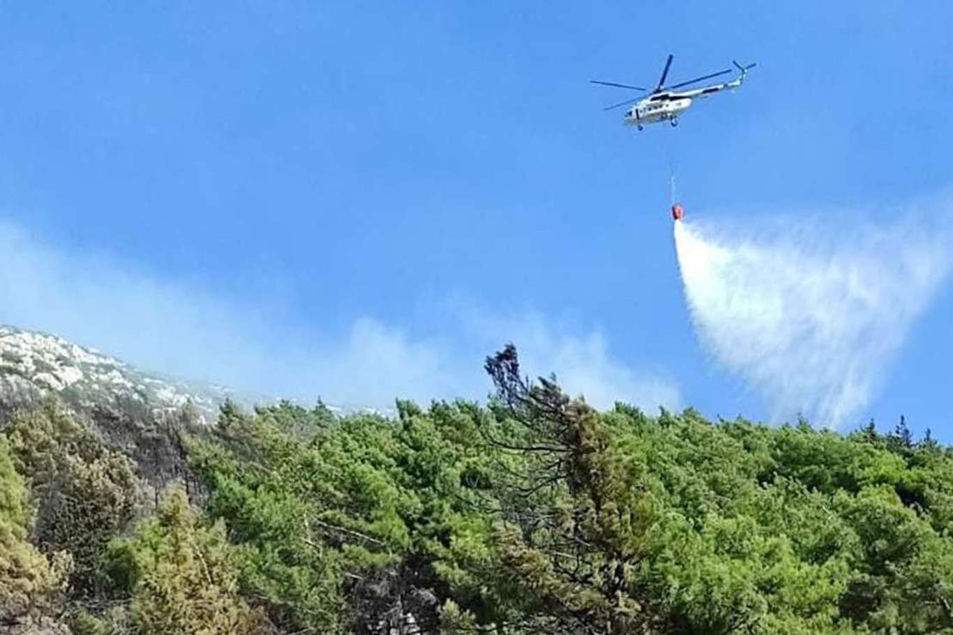 Urla'da orman yangını