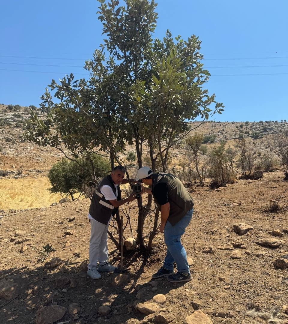 Yaban Hayatı İçin Fotokapanlar Kuruldu