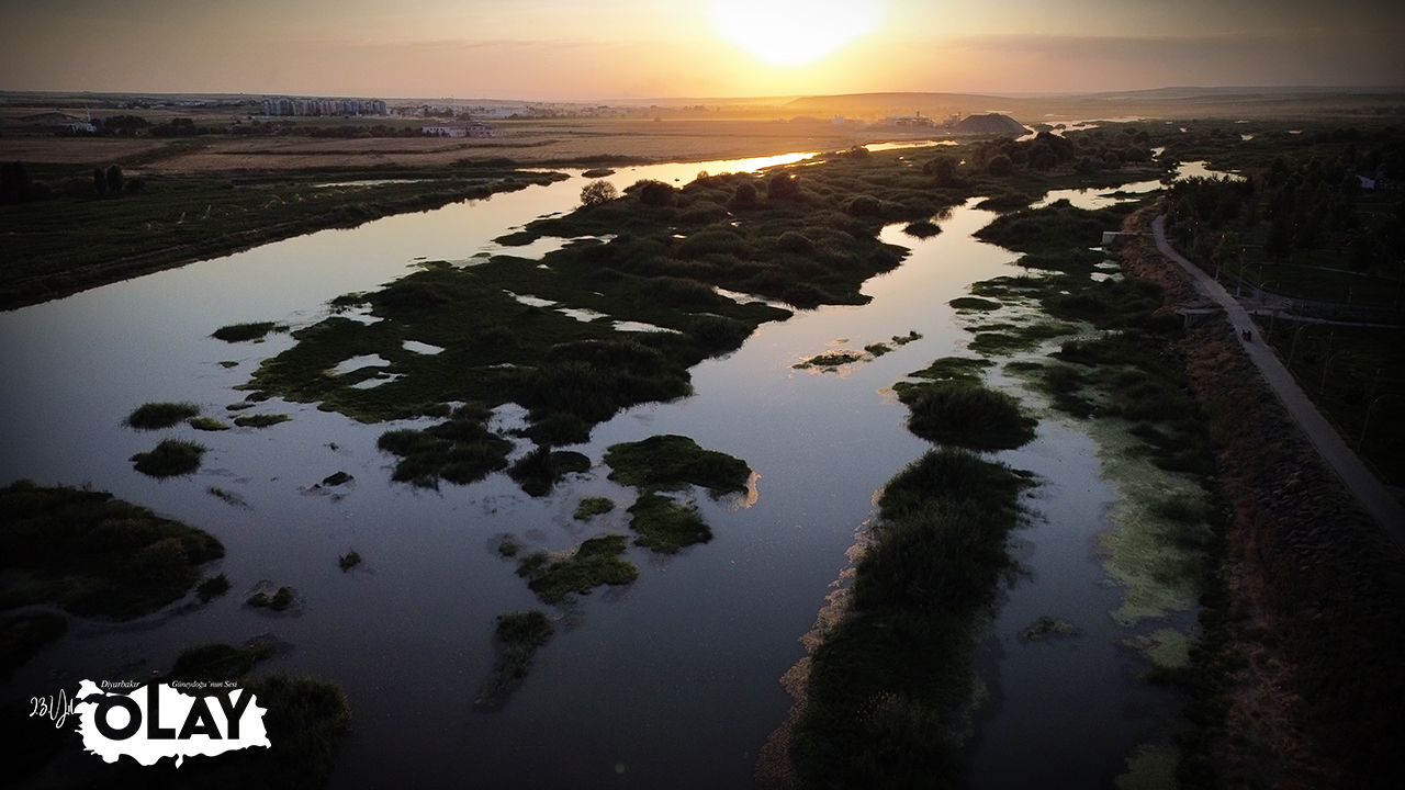 Dicle Nehri Çamur Akıyor! (1)